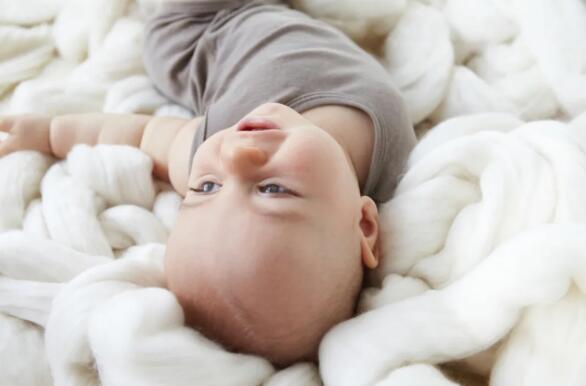 定制西裝羊毛面料回潮率高